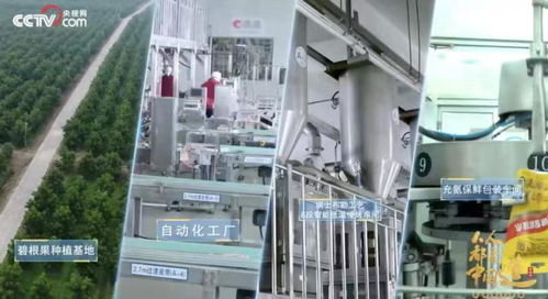 一季度營(yíng)業(yè)總收入增長(zhǎng)達(dá)36 ,洽洽食品迎來(lái) 開(kāi)門紅