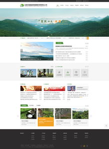 奧遠科技 云南昆明網站建設與網絡服務專家